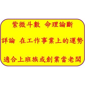 紫微斗數命理詳批 先天命盤十二宮專業論斷 掌握命運轉好運