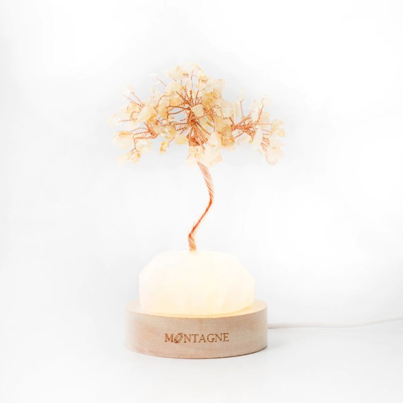 原礦水晶樹｜Treasure Tree｜白水晶。黃水晶｜招財。擴大 開運禮 母親節禮物