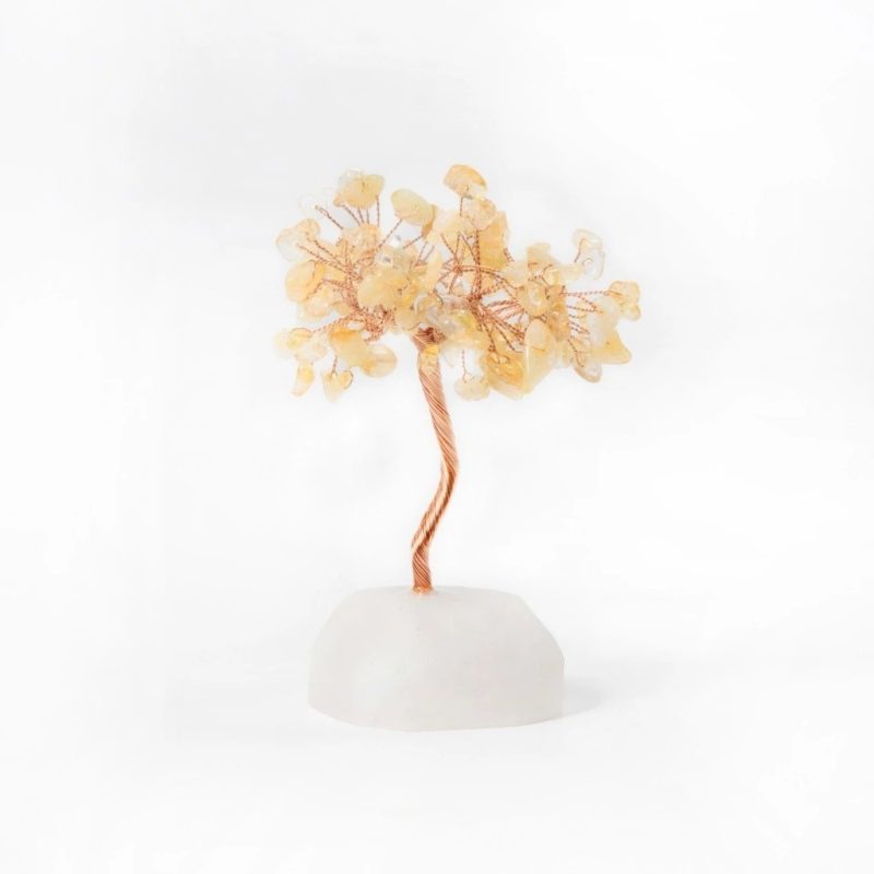 原礦水晶樹｜Treasure Tree｜白水晶。黃水晶｜招財。擴大 開運禮 母親節禮物